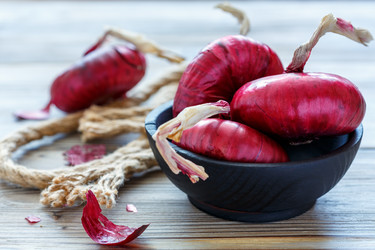 Similar image 13185554