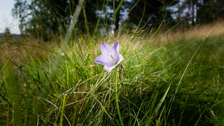 Similar image 13187465