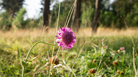 Similar image 13187466