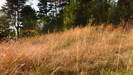 Similar image 13187503