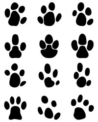 Similar image 13187506