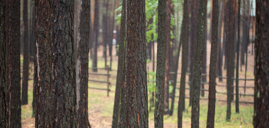 Similar image 13187516