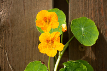 Similar image 13188614