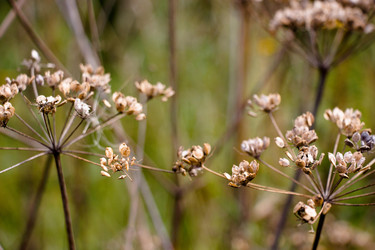 Similar image 13188615