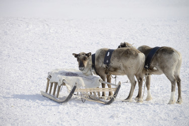 Similar image 13187734