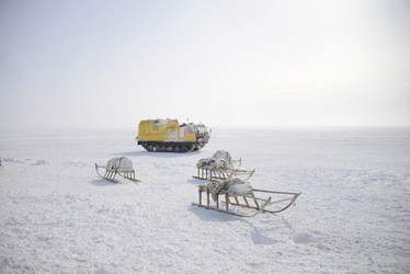 Similar image 13187735