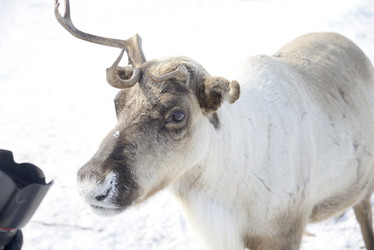 Similar image 13187751