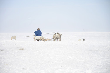 Similar image 13187752