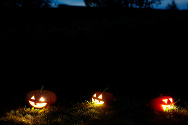 Similar image 13188300