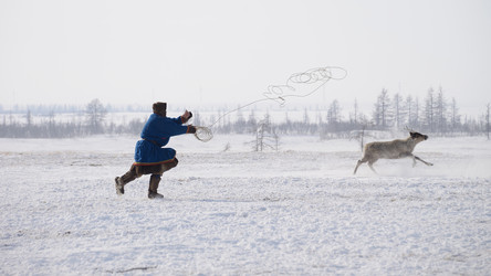 Similar image 13187759