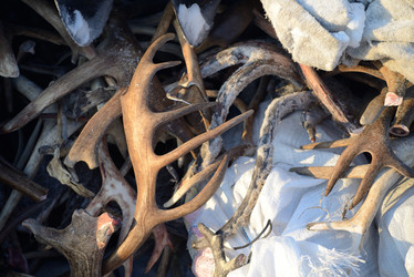 Similar image 13187761