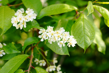 Similar image 13188905