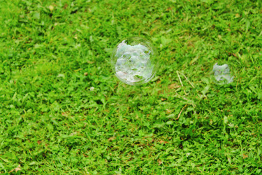 Similar image 13188906