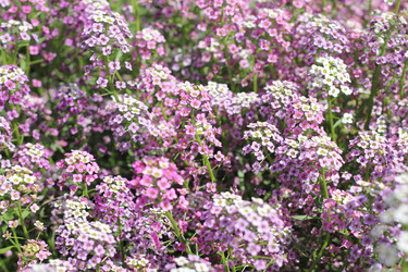 Similar image 13188911