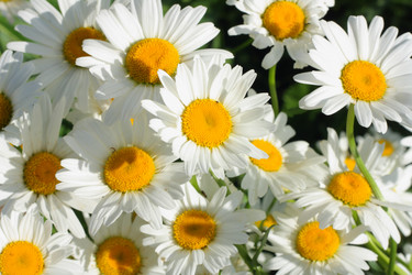 Similar image 13188913