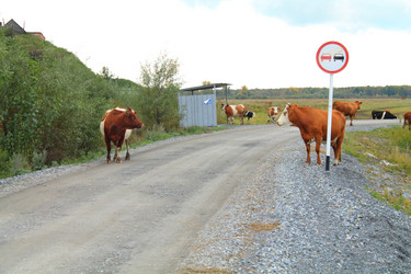 Similar image 13188914