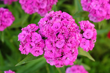 Similar image 13188915