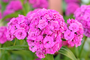 Similar image 13188922