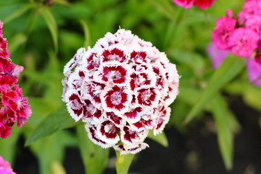 Similar image 13188924