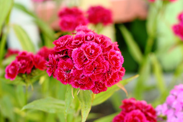 Similar image 13188925