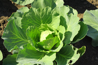 Similar image 13188932