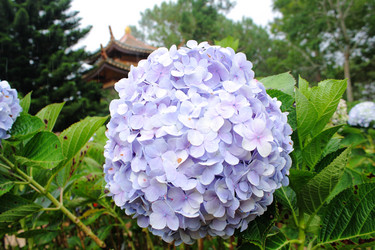 Similar image 13188933