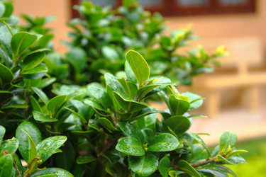 Similar image 13188934