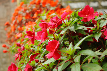 Similar image 13188935