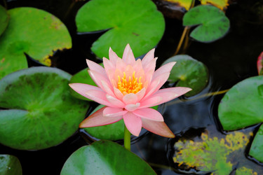 Similar image 13188936