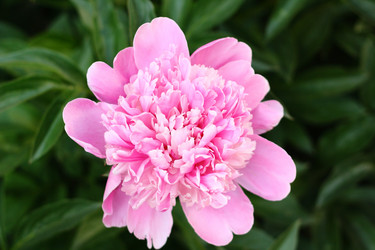 Similar image 13188941