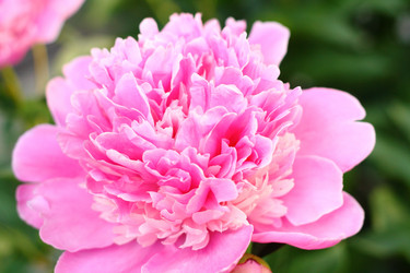 Similar image 13188950