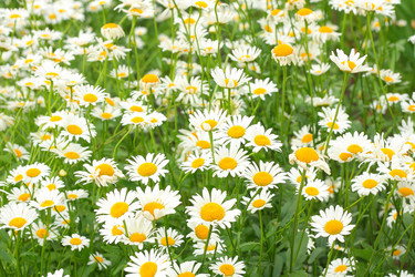 Similar image 13188953