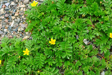 Similar image 13188954