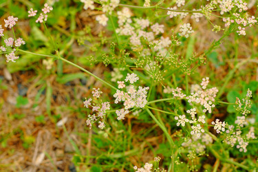 Similar image 13188955