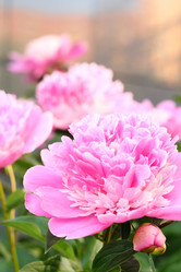 Similar image 13188956