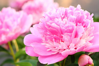 Similar image 13188957