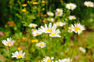 Similar image 13188958