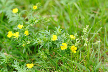 Similar image 13188959