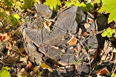 Similar image 13189785