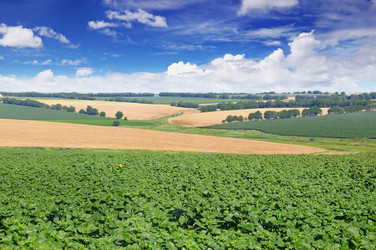 Similar image 13189801