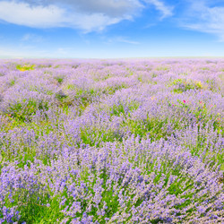 Similar image 13189806