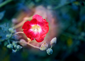 Similar image 13188919