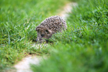 Similar image 13188898