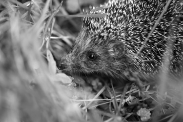 Similar image 13188921