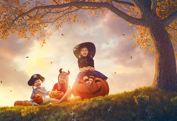 Similar image 13187993