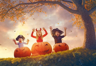 Similar image 13187995