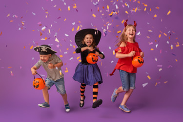 Similar image 13188003