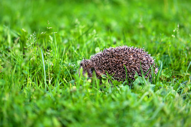 Similar image 13188881