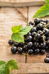 Similar image 13189018