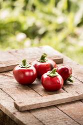 Similar image 13189020